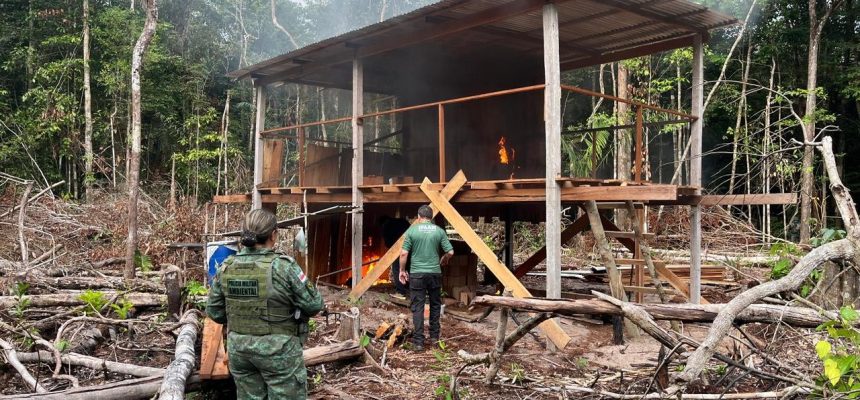 O Instituto de Proteção Ambiental do Amazonas (Ipaam), em ação conjunta com o Batalhão de Policiamento Ambiental (BPAmb) da Polícia Militar, na quarta-feira (30/04), embargaram três indústrias de cerâmicas que operavam sem licença ambiental na Região Metropolitana de Manaus, na Rodovia AM-070.