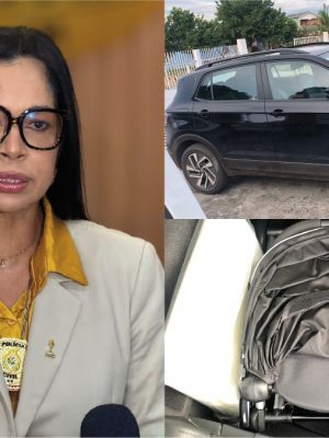 A Polícia Civil do Amazonas (PC-AM), por meio da Delegacia Especializada de Polícia (DEP) de Manacapuru (a 68 quilômetros de Manaus), apresentou na segunda-feira (14) a prisão de José Uberlane Pinheiro de Magalhães, de 47 anos, e do casal Luiz Armando dos Santos, de 40 anos, e Wesley Fabiano Lourenço, de 38 anos, pelos crimes de tráfico de pessoas com a finalidade de adoção ilegal. As prisões foram efetuadas no bairro São José, em Manacapuru.