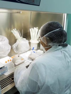 Fundação de Vigilância em Saúde do Amazonas – Dra. Rosemary Costa Pinto (FVS-RCP), vinculada à Secretaria de Estado de Saúde (SES-AM), divulgou nesta terça-feira (30) um novo informe epidemiológico sobre a esporotricose, infecção causada por fungos do gênero Sporothrix, que afeta humanos e animais.