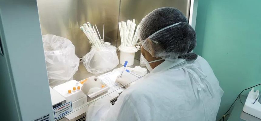 Fundação de Vigilância em Saúde do Amazonas – Dra. Rosemary Costa Pinto (FVS-RCP), vinculada à Secretaria de Estado de Saúde (SES-AM), divulgou nesta terça-feira (30) um novo informe epidemiológico sobre a esporotricose, infecção causada por fungos do gênero Sporothrix, que afeta humanos e animais.