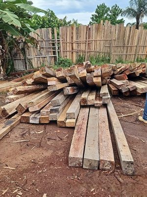 A 11ª fase da Operação Região Metropolitana, coordenada pelo Instituto de Proteção Ambiental do Amazonas (Ipaam) em parceria com o Batalhão de Policiamento Ambiental (BPAmb) da Polícia Militar, resultou em um duro golpe contra crimes ambientais no estado. Entre os dias 19 de setembro e 3 de outubro, foram aplicadas multas que somam R$ 7,3 milhões em Manacapuru e Itacoatiara.