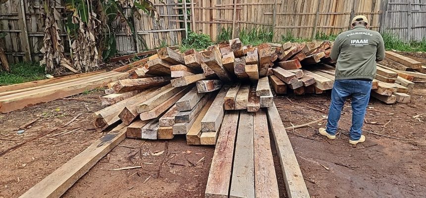 A 11ª fase da Operação Região Metropolitana, coordenada pelo Instituto de Proteção Ambiental do Amazonas (Ipaam) em parceria com o Batalhão de Policiamento Ambiental (BPAmb) da Polícia Militar, resultou em um duro golpe contra crimes ambientais no estado. Entre os dias 19 de setembro e 3 de outubro, foram aplicadas multas que somam R$ 7,3 milhões em Manacapuru e Itacoatiara.